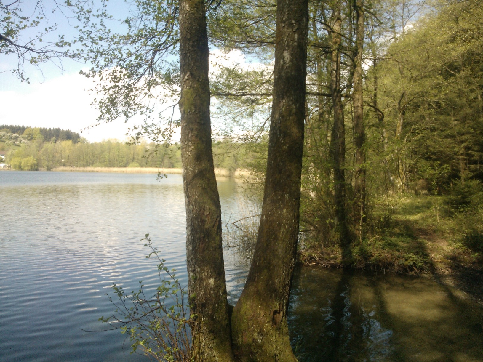 Degersee Bodensee Bilder