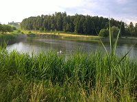 Engeweiher