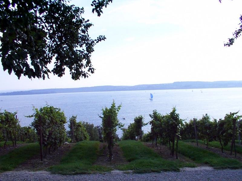bodensee_birnau_001c.jpg