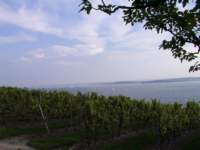bodensee_birnau_005c_small.jpg