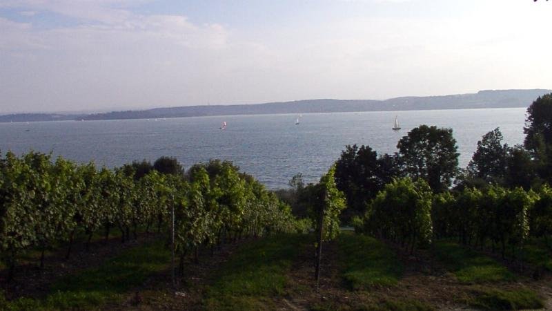 bodensee_birnau_008c.jpg