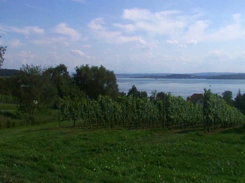 bodensee_birnau_022c.jpg