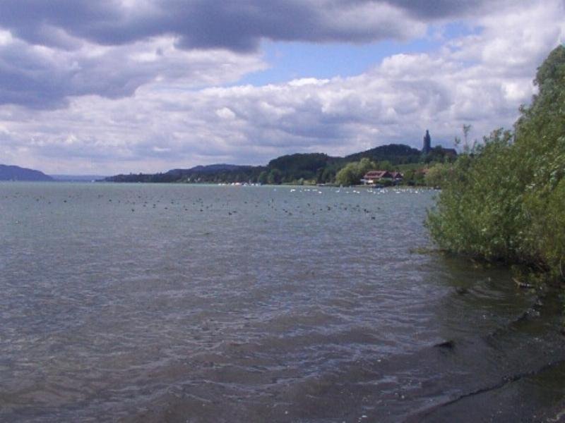 bodensee_seefelden_007c.jpg