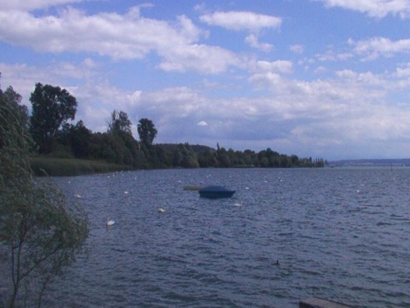 bodensee_seefelden_011c.jpg