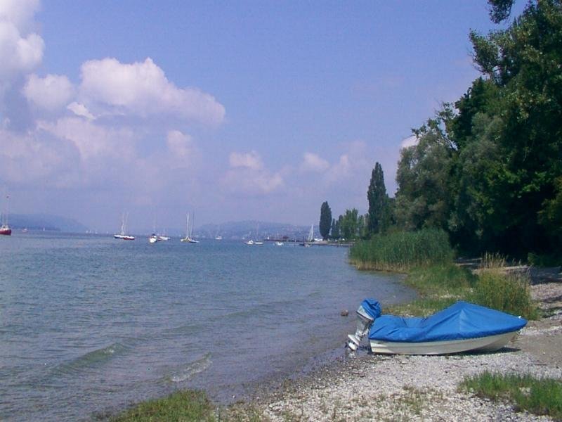 bodensee_uhldingen_ost09c.jpg
