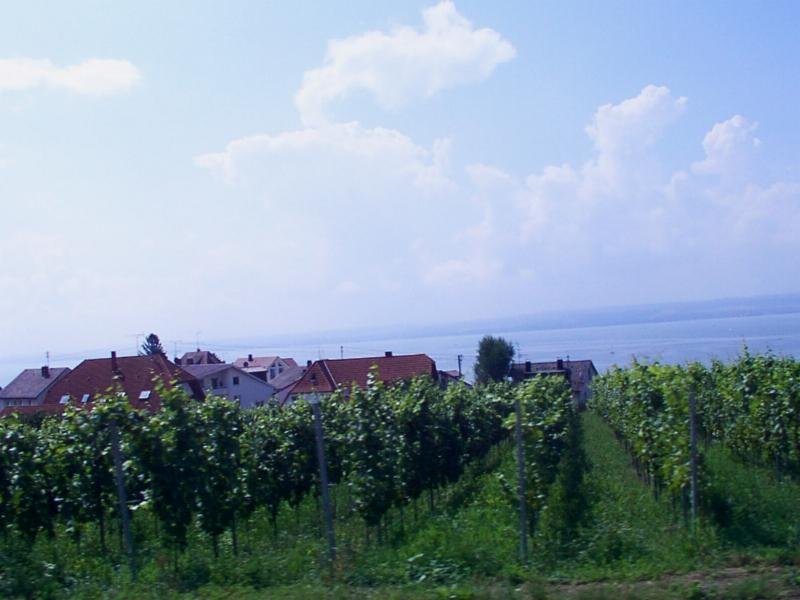 hagnau_001c.jpg