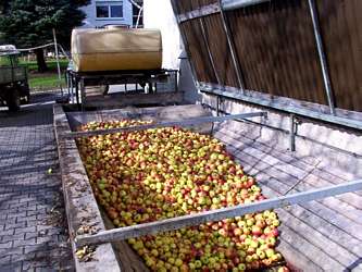 obstannahme001c.htm