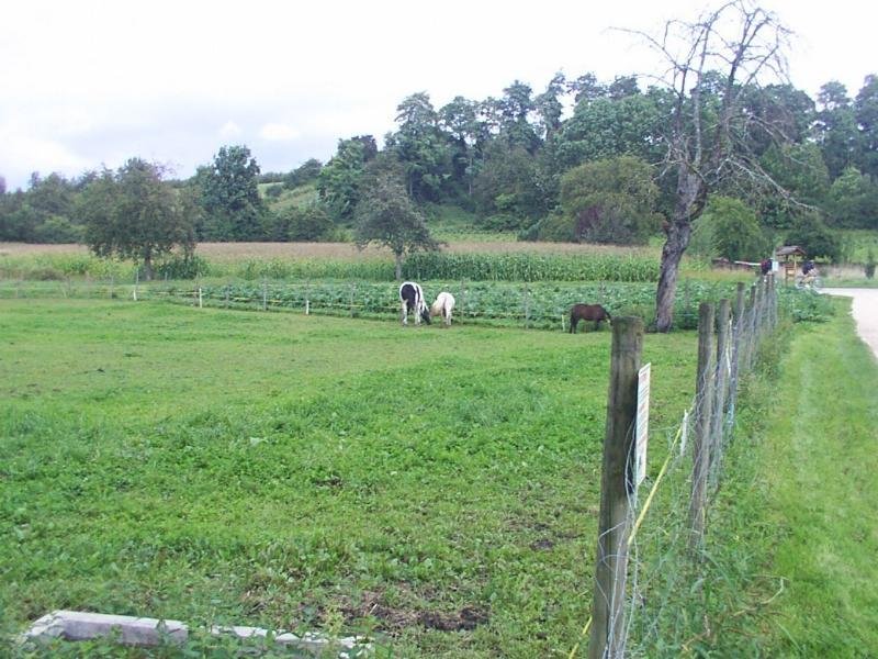 pferdekoppel_001c.jpg