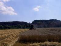 weizenernte003c_small.jpg